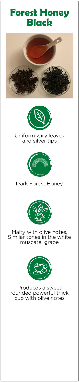 The Tea Enterprise - Forest Honey Black