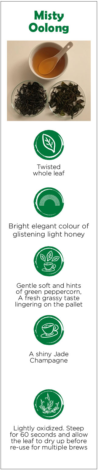 The Tea Enterprise - Forest Misty Oolong