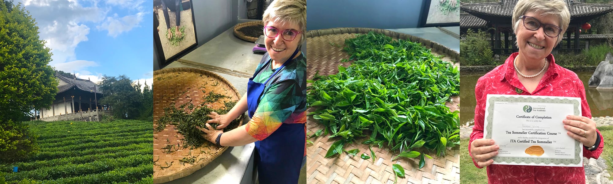 The Tea Enterprise - Our Story