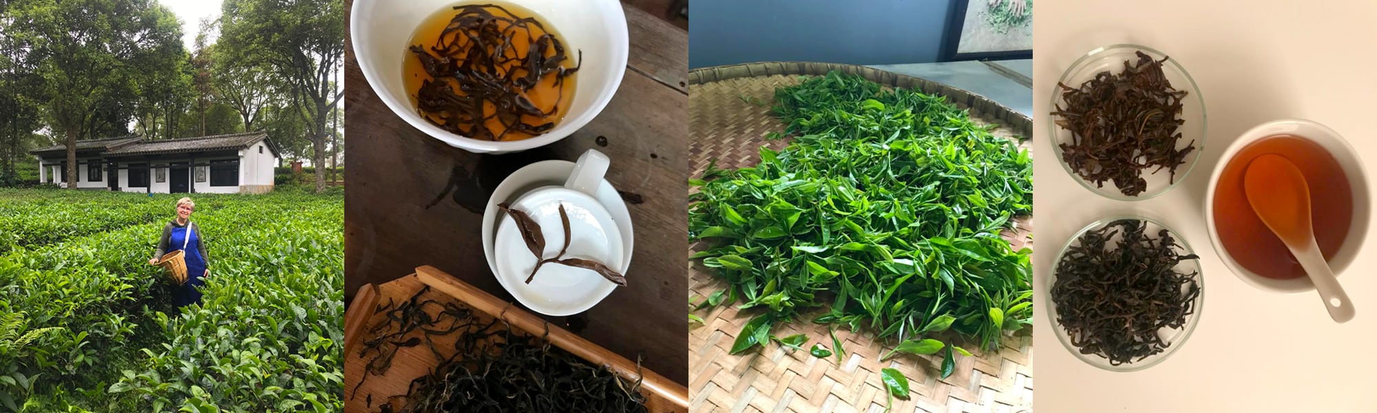The Tea Enterprise - Our Tea